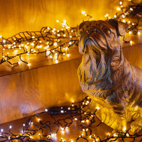 سری چراغ های نوار LED قابل پوشاندن با لنز منحنی شفاف 240 ولت قابل تنظیم بیش از 30000 ساعت